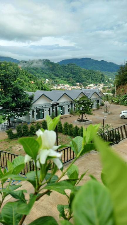 Happy Home Resort
