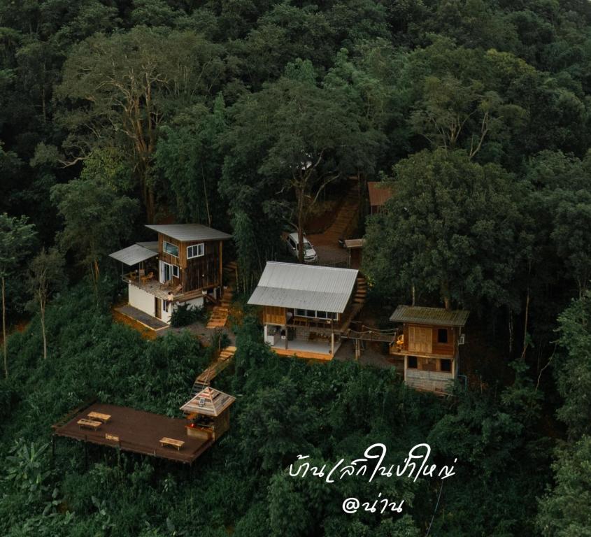 Little House in The Forest at Nan