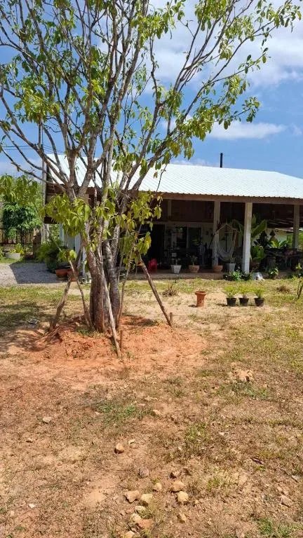 Anna Garden Homestay