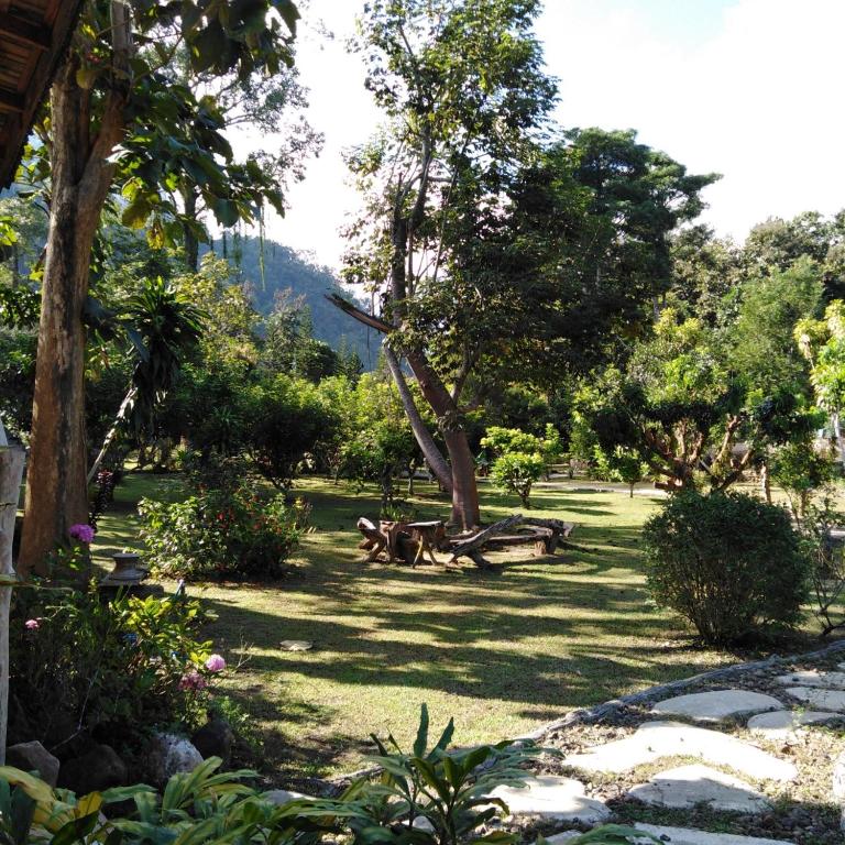 Home Chiang Dao Pooch Lovers