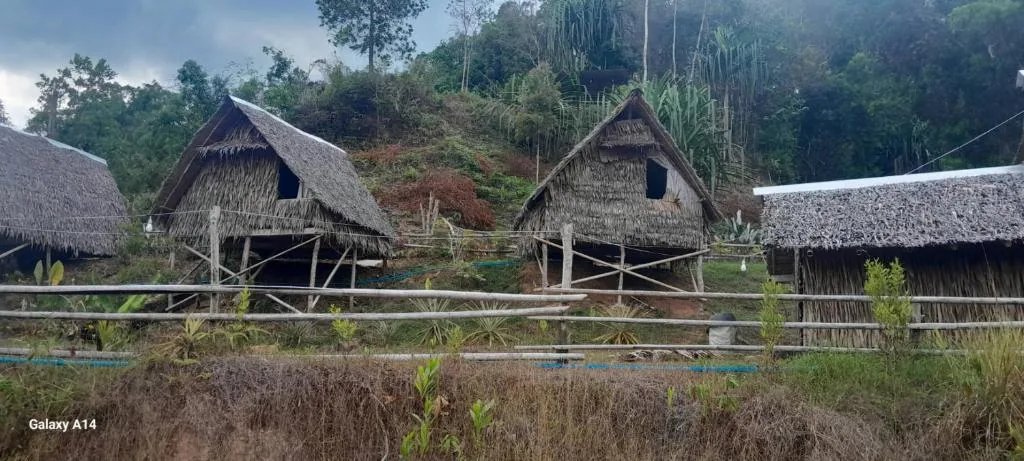 Khao Sok Moon Light Hill Camp