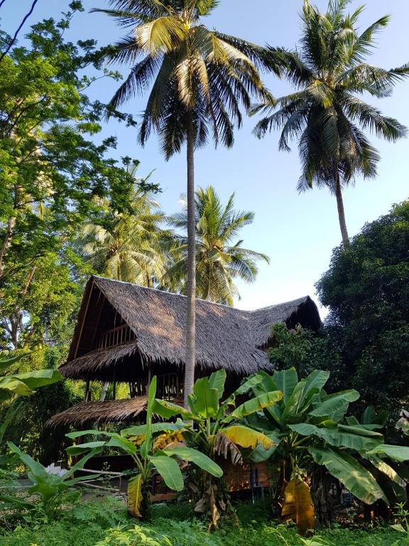 Antonio's Ko Yao Noi