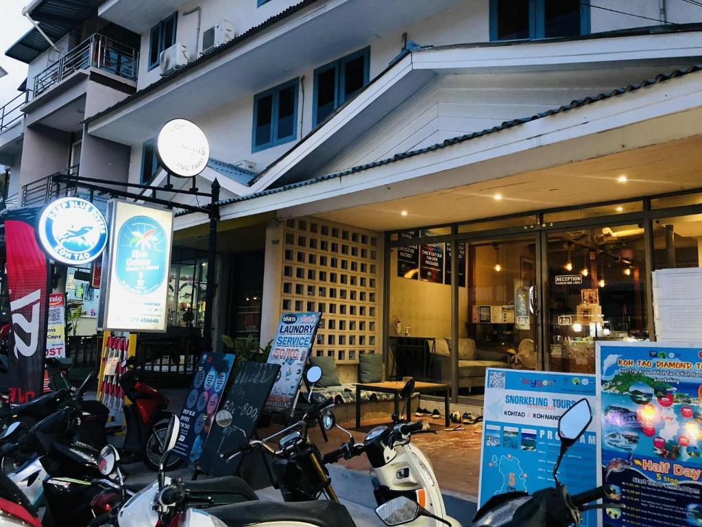 Bluegelatohousekohtao