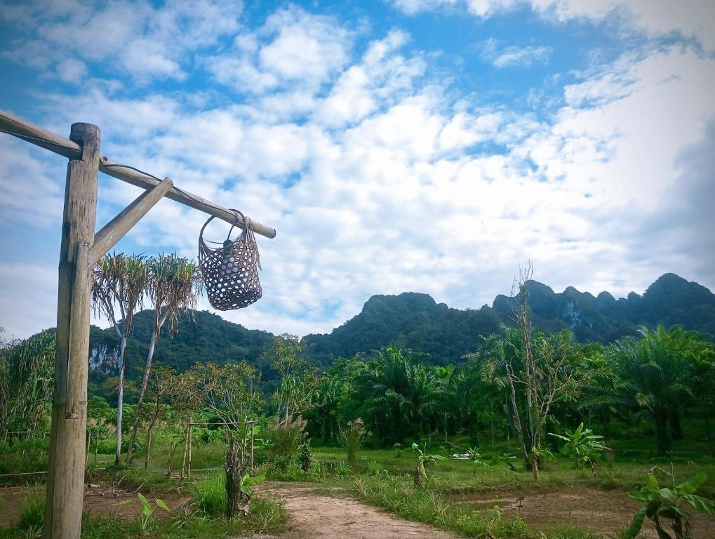 Khaosok Eco House