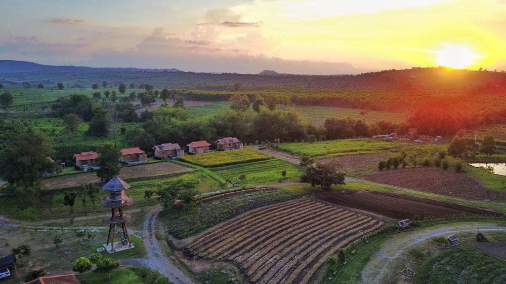 Cool Living Farmhouse Organic