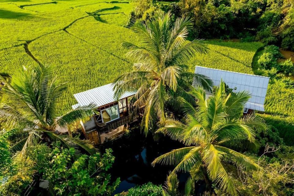 Local Homestay and View