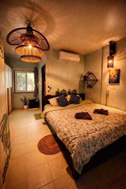 Mild Island Stay Room