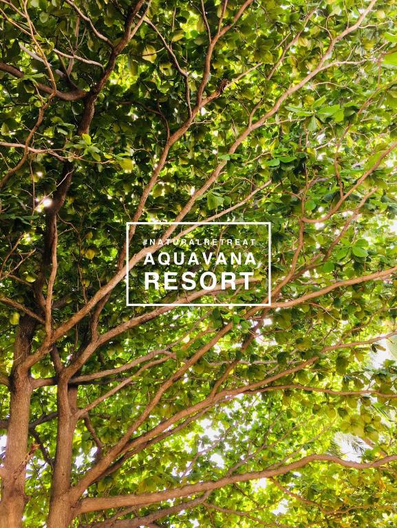 Aquavana Haad Rin Resort