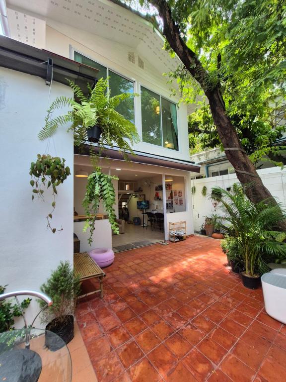 Cat House BKK