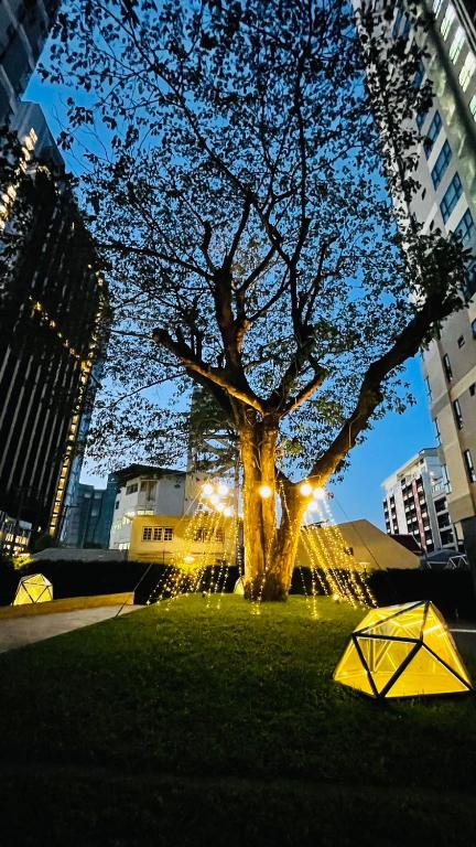 The Base Central Pattaya 975 by Numam