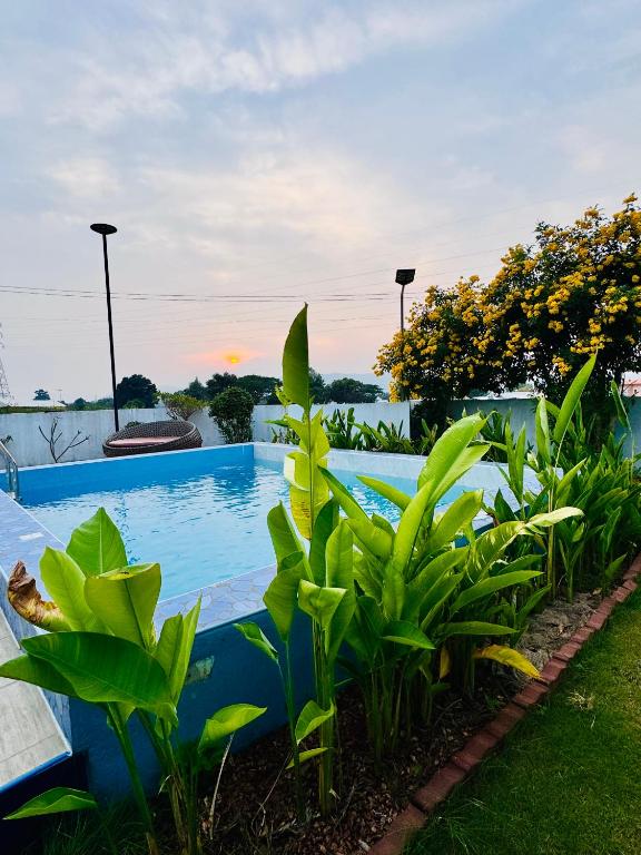 Miss & Moon Poolvilla Bang Saray