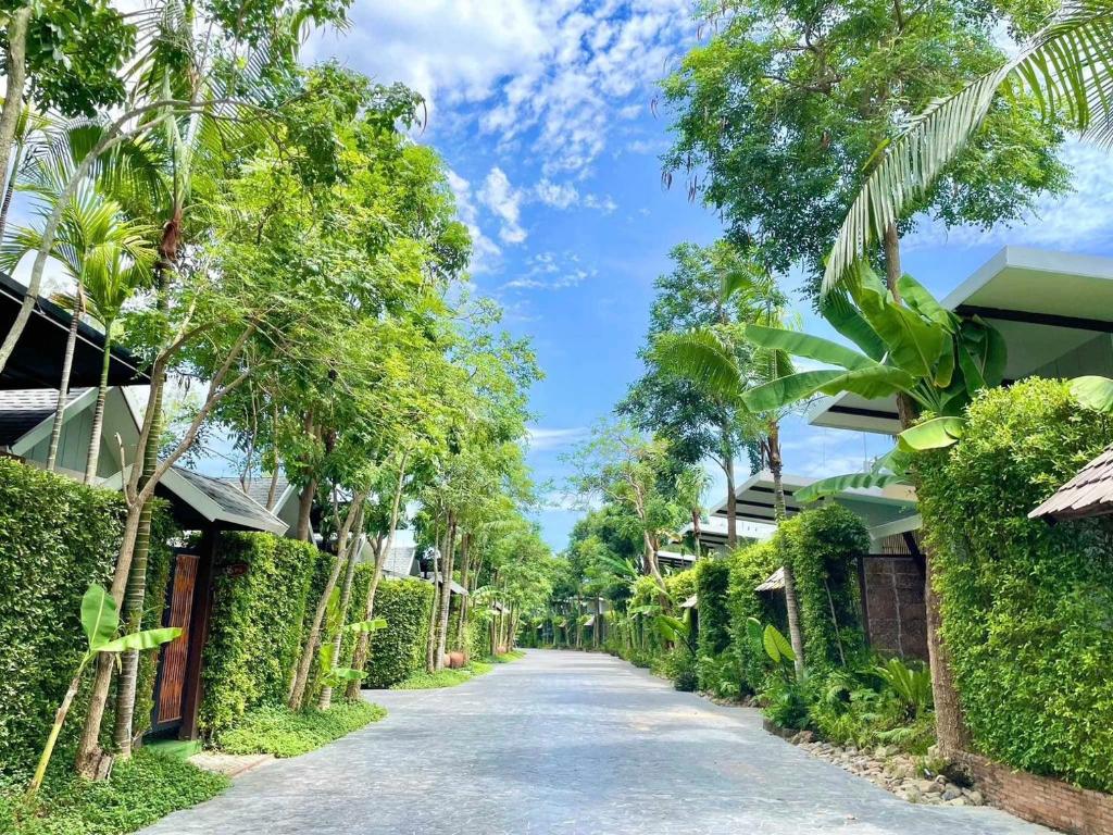 Ip Plus Pattaya