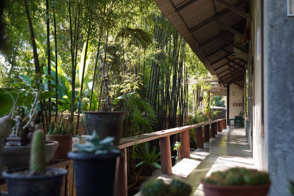 Wanmai House