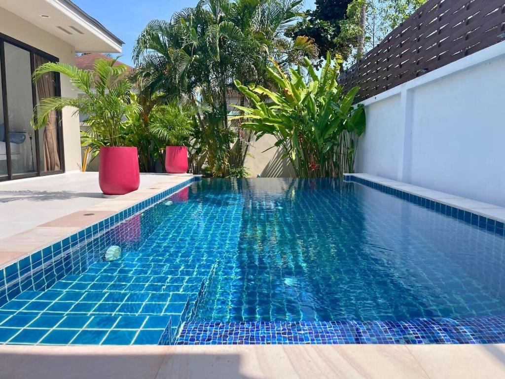 Coconut Palm Near Beach Private Pool
