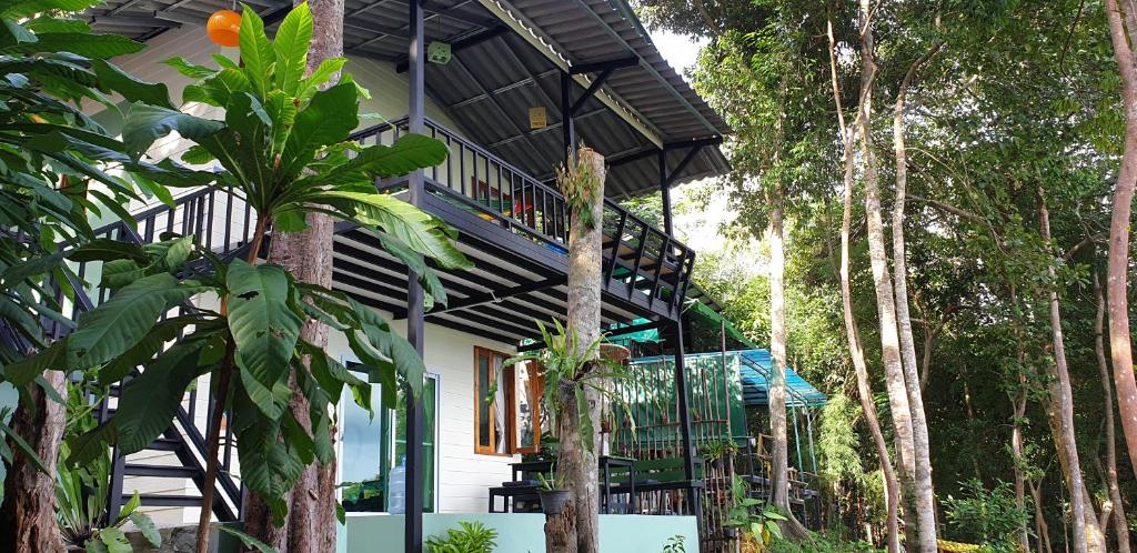Jeroen's Jungle View